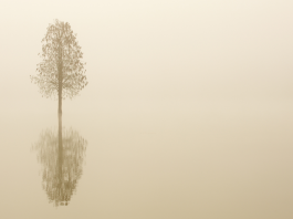 La Sérénité dans le Silence: Se Connecter Profondément à Travers la Tradition Juive