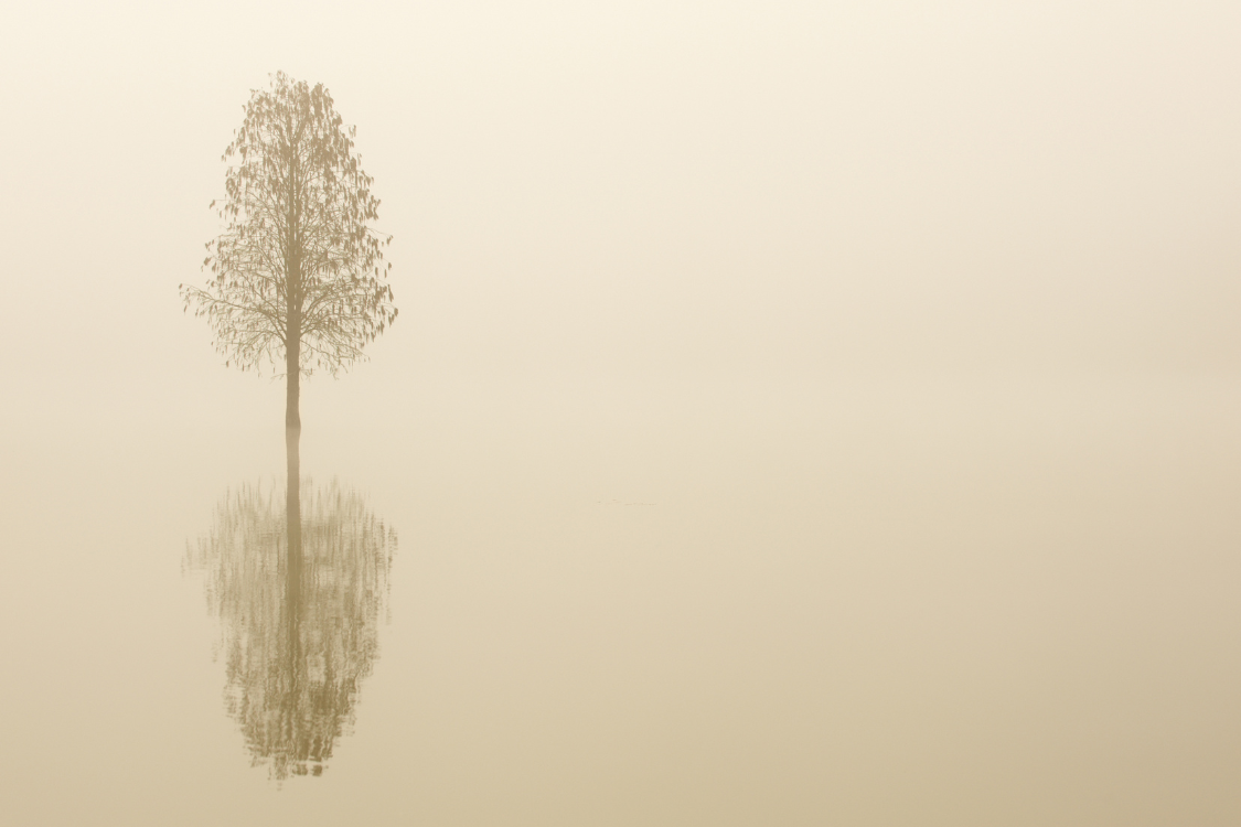 La Sérénité dans le Silence: Se Connecter Profondément à Travers la Tradition Juive