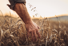 Redécouvrir le monde extérieur