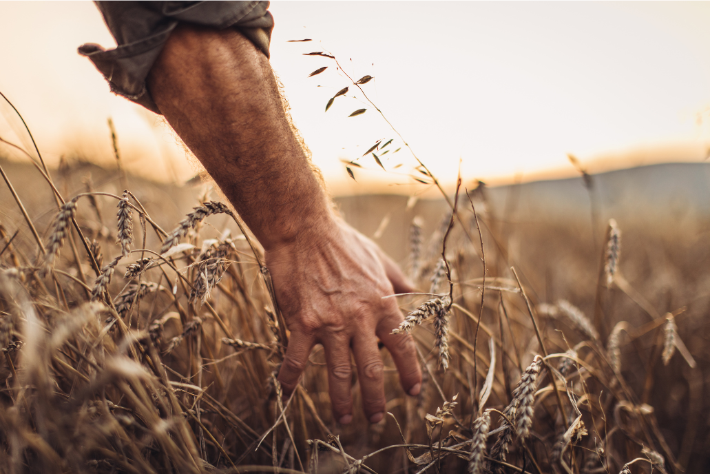 Redécouvrir le monde extérieur