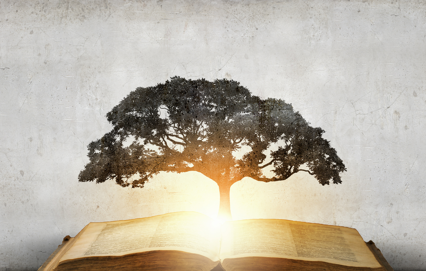 L’éthique et l’éducation morale à travers le prisme de la tradition juive