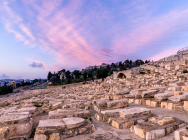 Le Pèlerinage dans l’Histoire Juive : Voyage Spirituel à Travers les Âges