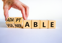 Les Chemins de la Transition: S’adapter, Surmonter et Célébrer selon la Tradition Juive