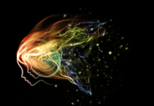 Cultiver la Créativité et l’Innovation