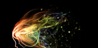 Cultiver la Créativité et l’Innovation