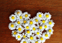 La Clé de la Confiance: Consistance et Fiabilité dans nos Relations