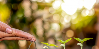 Sur le Chemin de la Transformation: Un Voyage de Croissance Personnelle Inspiré par la Pensée Juive