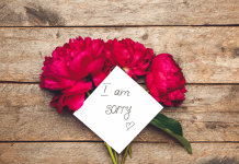 Pratiquer l’Art de la Réconciliation et du Pardon dans la Relation