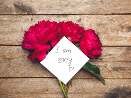 Pratiquer l’Art de la Réconciliation et du Pardon dans la Relation