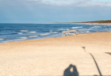 Harmonie et Équilibre : Naviguer entre Indépendance et Co-Dépendance dans la Vie de Couple