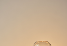 Harmonie et Compréhension : Cultiver Patience et Tolérance dans les Conflits