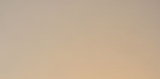 Harmonie et Compréhension : Cultiver Patience et Tolérance dans les Conflits