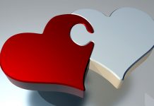 Vivez l’Amour : Un Festival de Joie et de Célébrations Inoubliables