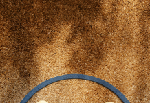 L’Éloge de la Reconnaissance Mutuelle : Une Perspective Juive sur les Limites Personnelles