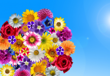 La Sagesse de la Négociation: Un Chemin vers l’Harmonie