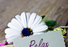 Renforcer les Liens: Stratégies de Gestion du Stress à Deux