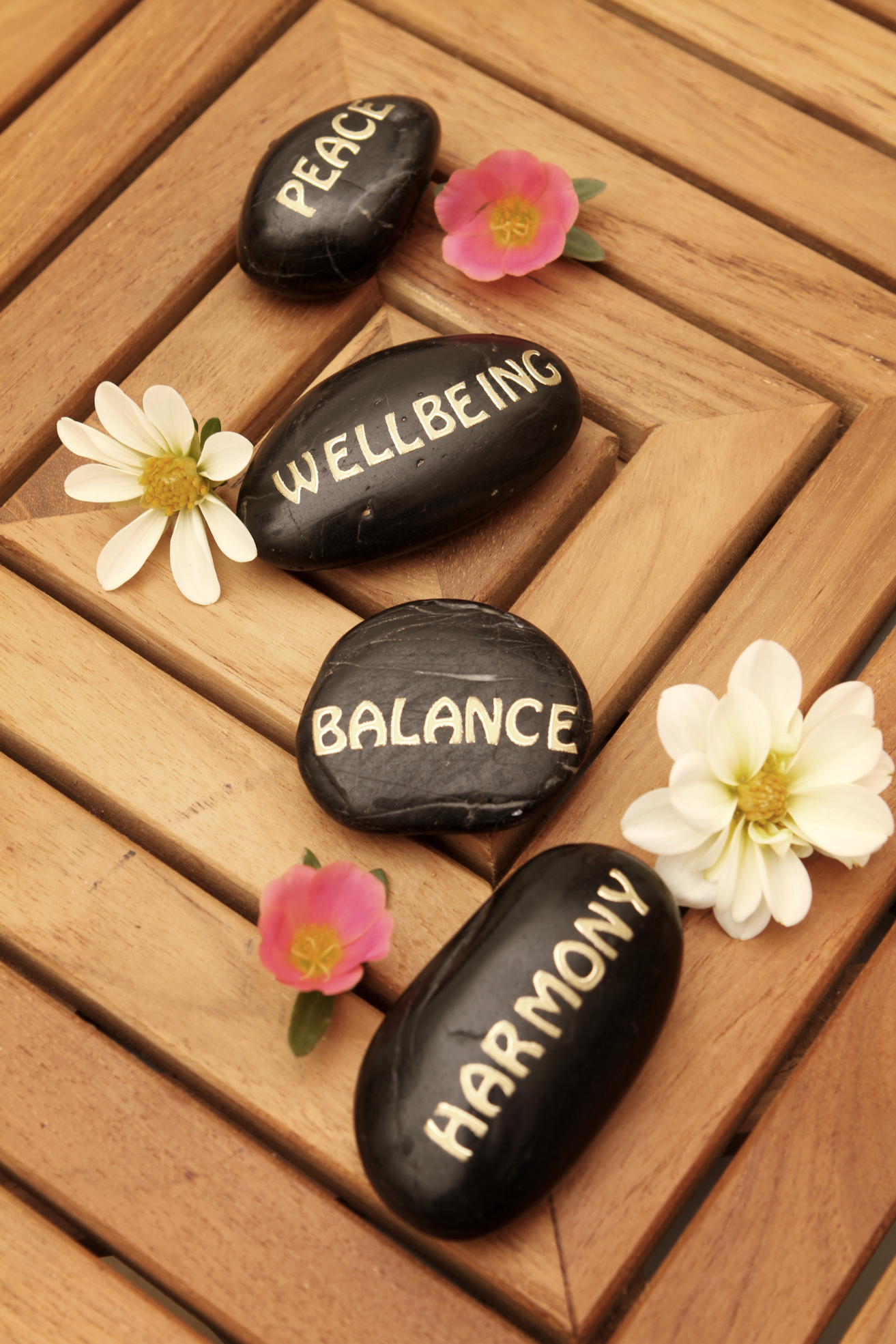 Harmonie à la maison: Cultiver collaboration et partage selon la sagesse juive