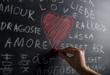 Renforcer les Liens par la Gratitude et la Reconnaissance: Un Guide Inspiré de la Sagesse Juive