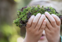 L’éveil à l’éducation environnementale