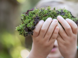 L’éveil à l’éducation environnementale