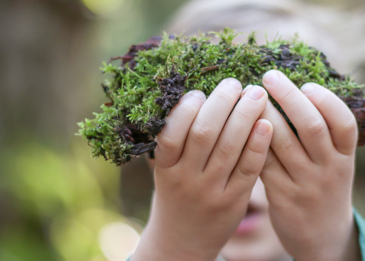L’éveil à l’éducation environnementale