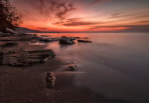 Éveiller un Esprit de Service