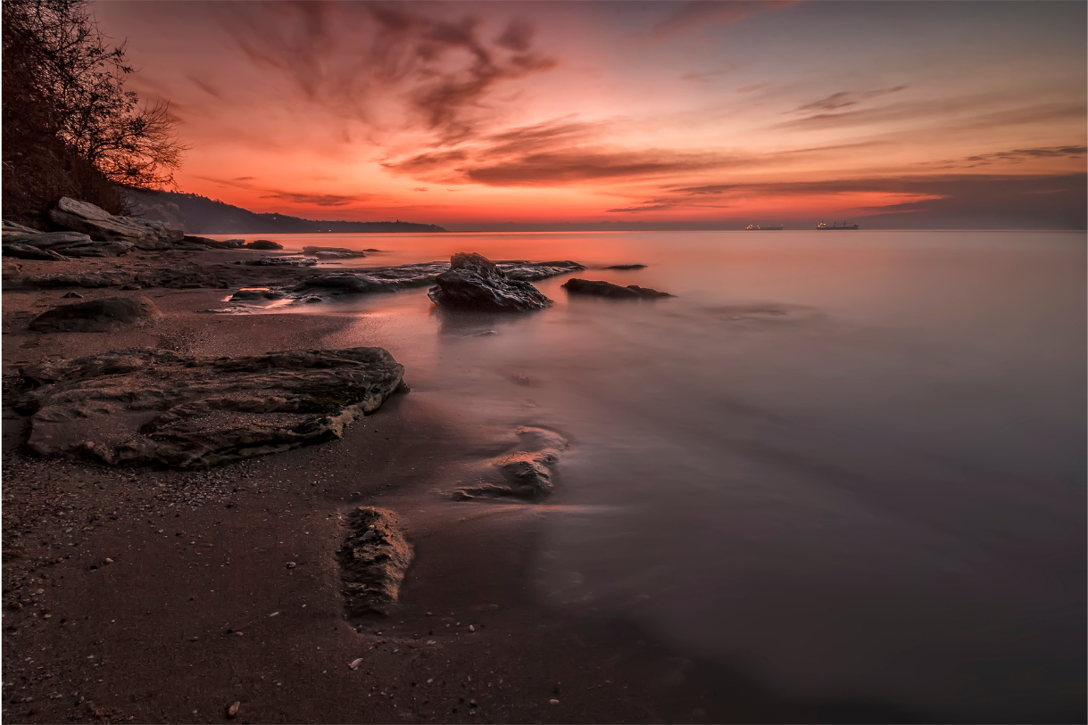 Éveiller un Esprit de Service