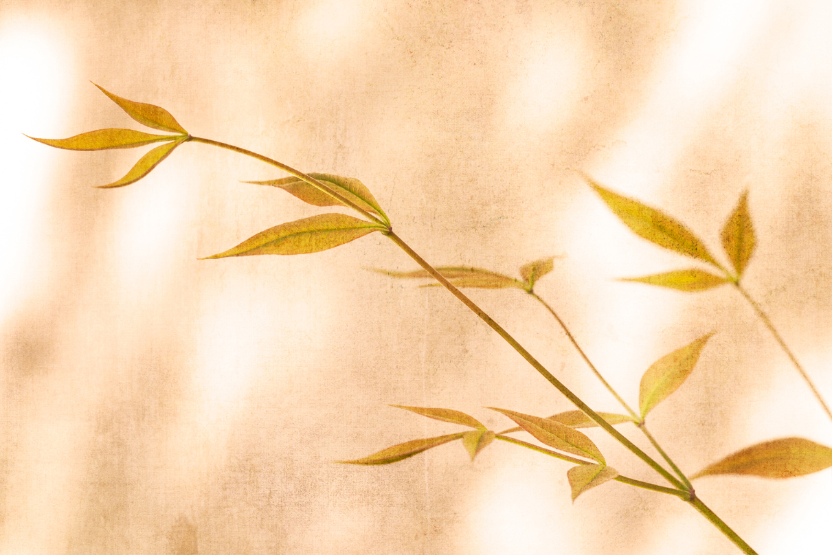 Faire Preuve de Grâce et de Compassion face aux Erreurs