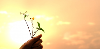 Cultiver la gratitude et la reconnaissance dans nos relations