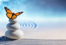 Cultiver l’Harmonie : Respect et Équilibre dans nos Relations