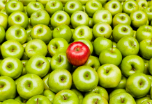 Faire Fleurir la Liberté et l’Autonomie dans nos Relations: Une Perspective Juive