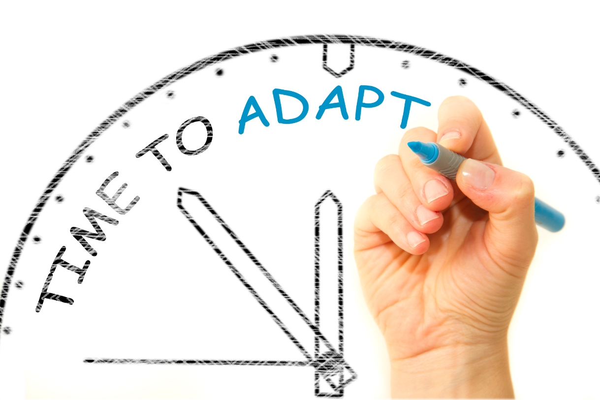 La Sagesse de l’Adaptabilité : Un Voyage à Travers les Relations selon la Tradition Juive