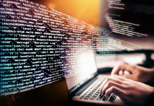 Cultiver la Créativité Digitale