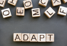 L’Harmonie dans la Diversité : L’Adaptation aux Styles de Vie Différents