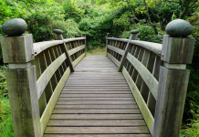 Gérer les Périodes de Transition