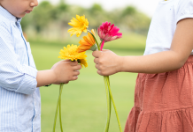 Harmoniser Respect et Bienveillance: Clés pour une Relation Équilibrée