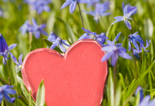 La Force de la Reconnaissance et de l’Affection dans les Relations