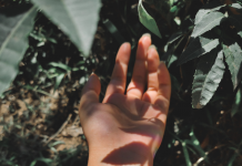 La Connexion à travers des Rituels de Connexion Quotidiens