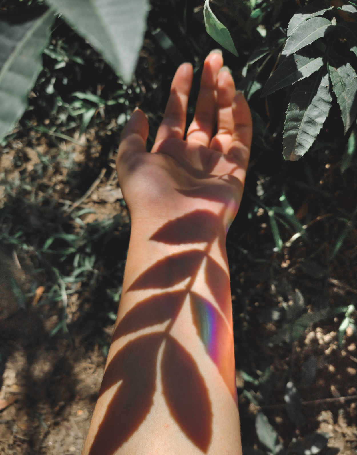 La Connexion à travers des Rituels de Connexion Quotidiens