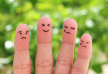 Les Enjeux des Différences de Tempérament