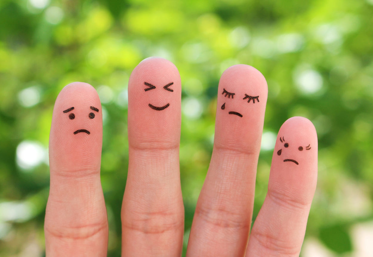 Les Enjeux des Différences de Tempérament