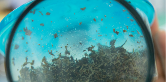 La richesse des cultures dans le couple