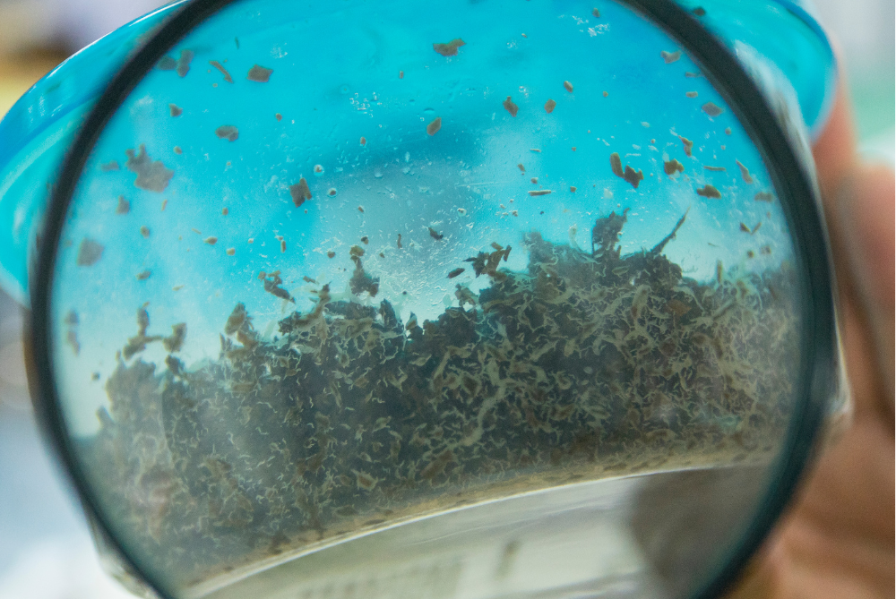 La richesse des cultures dans le couple