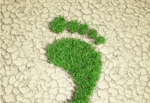 Vivre vert: Intégrer les valeurs juives dans nos choix écologiques quotidiens