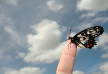 Édifier un havre de confiance et de stabilité émotionnelle