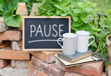 Harmoniser le Temps Libre : Un Art de Vivre Inspiré par la Sagesse Juive