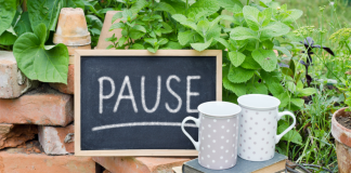 Harmoniser le Temps Libre : Un Art de Vivre Inspiré par la Sagesse Juive
