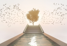 Le pouvoir transformateur de la spiritualité