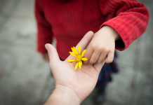 La force de la gratitude : éclairer nos vies avec des gestes de reconnaissance