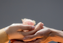 Harmoniser les passions : un voyage de coexistence et de soutien mutuel